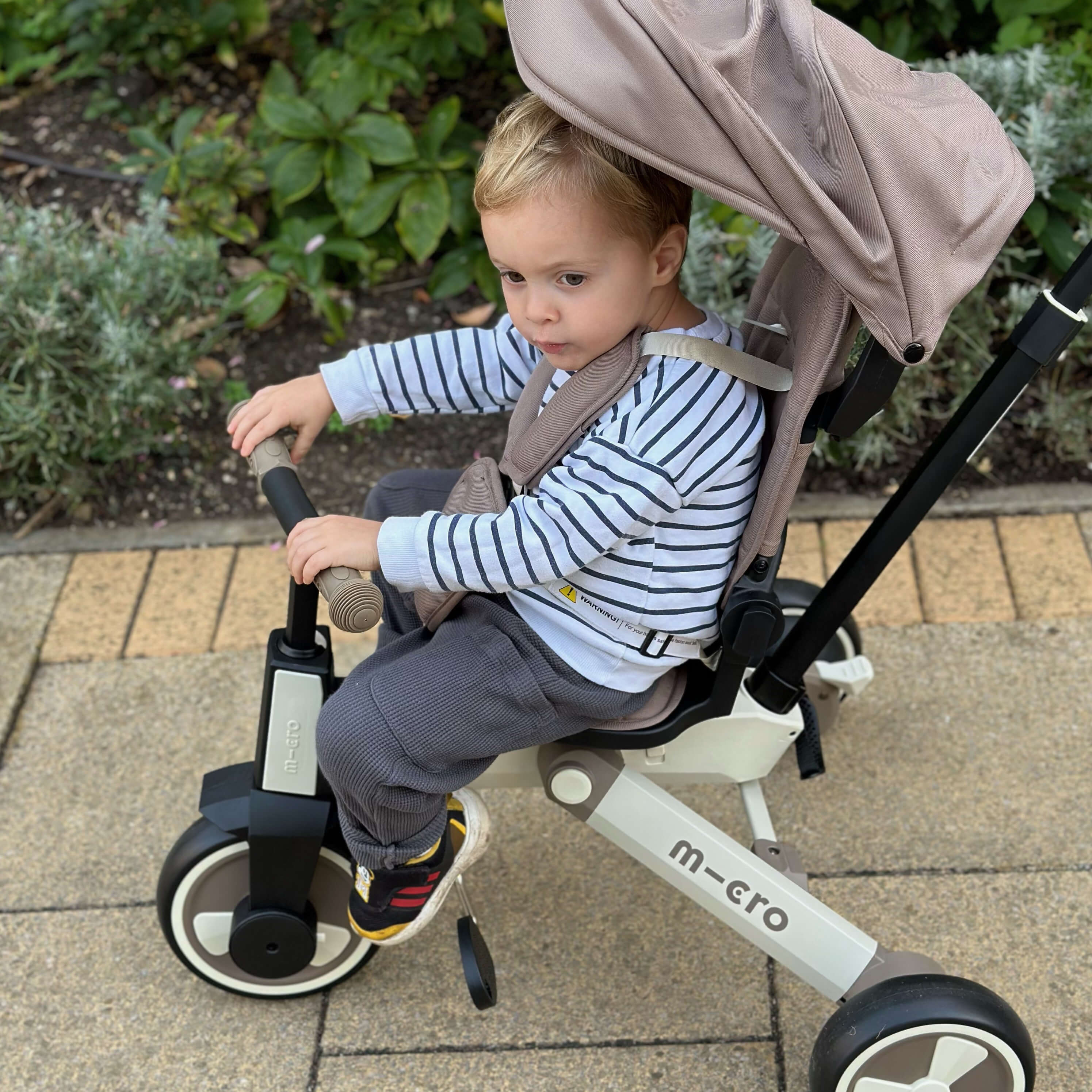 Micro Flexi Trike: Brown Latte - Image 10